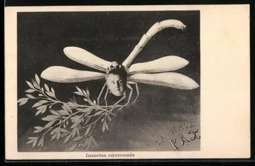 AK Insectes couronnés, Le Haye, Pax, Karikatur von Königin Wilhelmina von den Niederlanden als Libelle