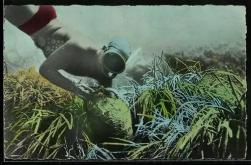 AK Taucher findet eine Amphore