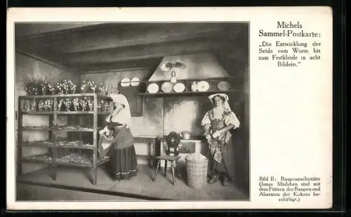 AK Raupenzuchtstätte, Füttern und Abernten der Raupen
