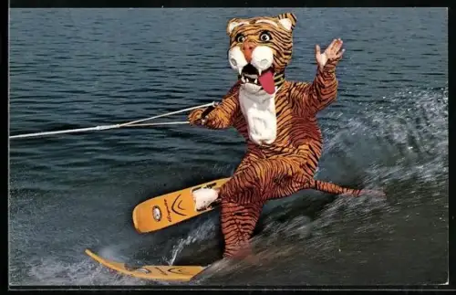 AK Timmy the Tiger beim Wasserski, Wassersport