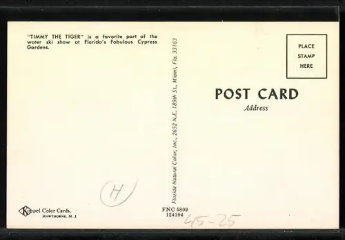 AK Timmy the Tiger beim Wasserski, Wassersport