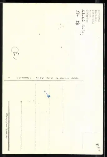 AK Olympische Spiele 1960, Turner an Ringen