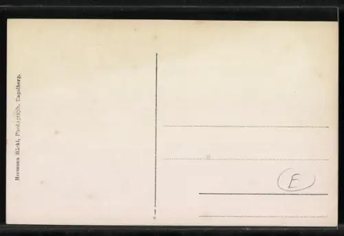 Foto-AK Paar auf einem Schlitten bei der Abfahrt