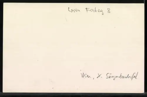 Foto-AK Wien, X. Sängerbundesfest 1928, Festumzug mit Strassenbahn im Hintergrund