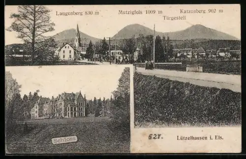 AK Lützelhausen, Blick auf die Stadt mit Schloss, Langenberg und Katzenberg