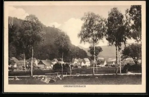 AK Obersteinach, Ortschaft aus der Ferne