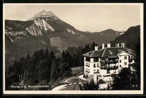AK Gösing an der Mariazellerbahn, Hotel Gösing, Villa und Berge