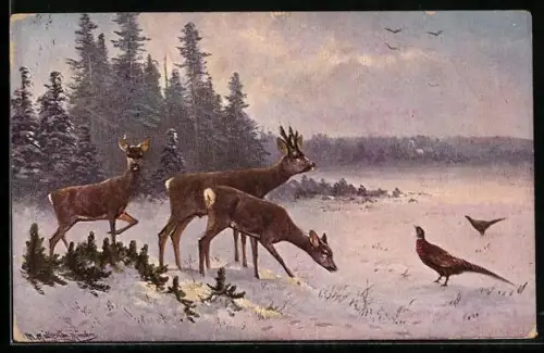 Künstler-AK M. Müller jun.: Rehe und Fasane im verschneiten Wald