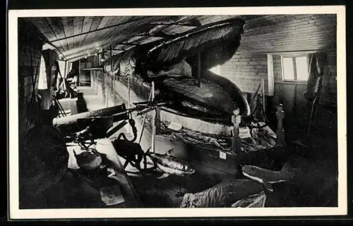 AK Riesenwalfisch in einer Angelhütte