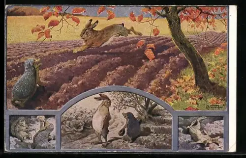 Künstler-AK K. Wagner: Szenen aus dem Märchen Der Hase & der Igel