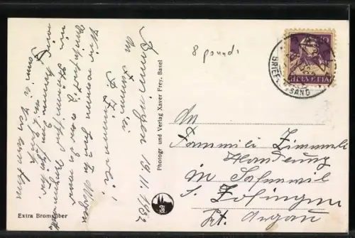 AK Base, Zoologischer Garten, Zwei Tiger im Käfig