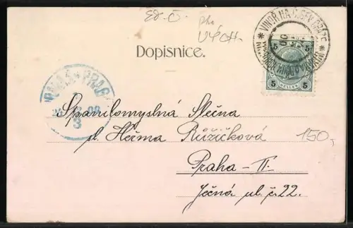 Lithographie Prag / Praha-Vinor, Hrad Jenstyn, Kostel, Zamek Hrabat Cerninu