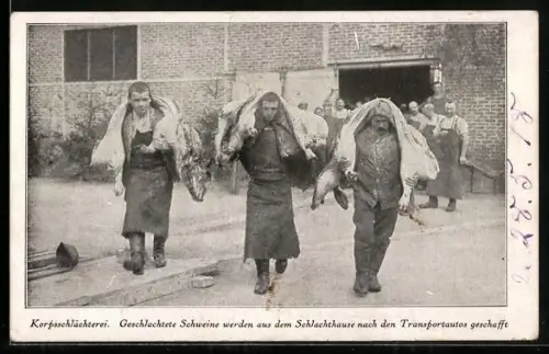 AK Korpsschlächterei, Fleischer tragen geschlachtete Schweine nach den Transportautos