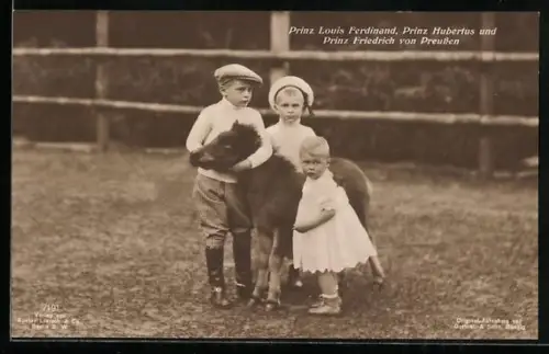 AK Prinz Louis Ferdinand, Prinz Hubertus und Prinz Friedrich von Preussen