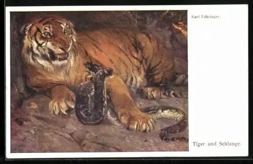 Künstler-AK Ein Tiger und eine Schlange