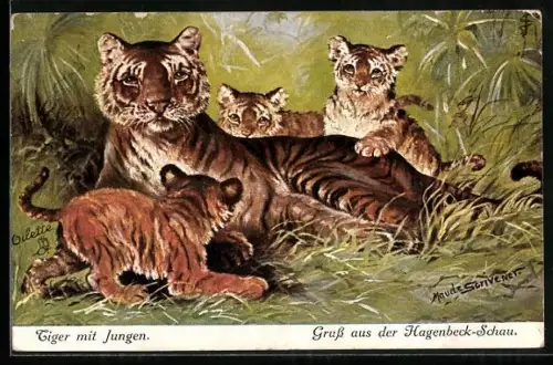 Künstler-AK Tigerin mit Jungen