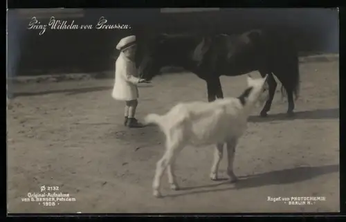 AK Prinz Wilhelm von Preussen füttert Pony