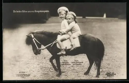 AK Söhne von Kronprinz Wilhelm von Preussen auf einem Pony