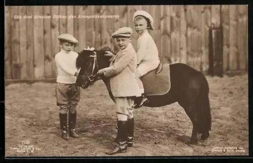 AK Die drei ältesten Söhne unseres Kronprinzenpaares im Reiterdress mit Pony