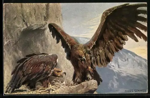 Künstler-AK Steinadlerpaar im Horst