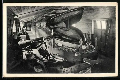 AK Riesenwalfisch in einer Angelhütte