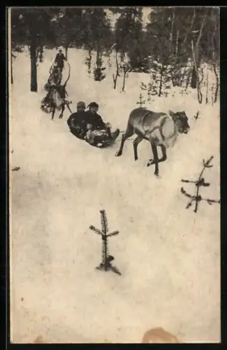 AK Rentierschlitten in Lappland