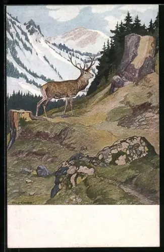 Künstler-AK G. Hirth`s Verlag, Serie II, 3: Hochwaldleben im Herbst mit einem Hirsch