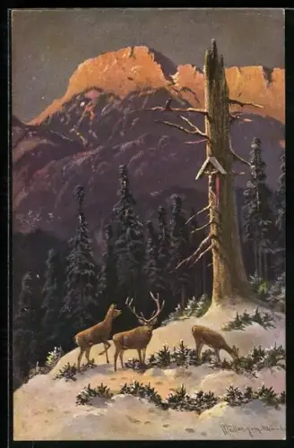 Künstler-AK M. Müller jun.: Hirsch und Rehe in verschneiter Winteridylle