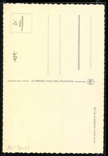 AK Steinadler auf seinem Ansitz