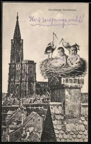 AK Strassburg, Storchennest mit Babys auf einem Schornstein, Münster