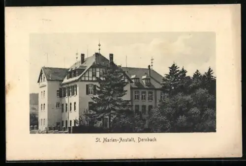 AK Dernbach / Westerwald, St. Marien-Anstalt mit Grünanlagen