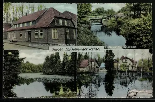 AK Tewel /Lüneburger Heide, H. Gieschen`s Gast.- u. Pensionshaus, Mehlandsbachpartie, Rutenmühlenteich, Rutenmühle