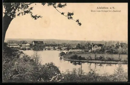 AK Alsleben a. S., Blick vom Kringel in's Saalethal