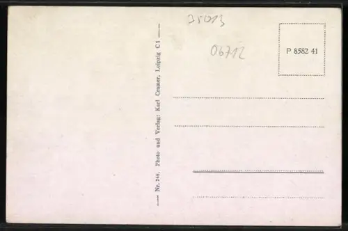 AK Zeitz, Michaeliskirche, Schloss Moritzburg, Platz und Rathaus, verschiedene Denkmäler