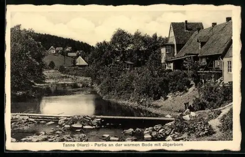 AK Tanne, Partie an der warmen Bode mit Jägerhorn