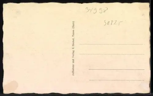 AK Tanne, Partie an der warmen Bode mit Jägerhorn