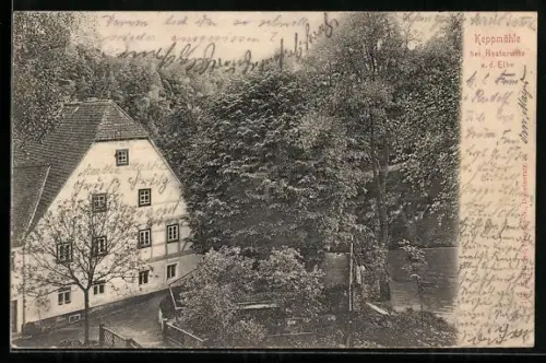 AK Dresden-Hosterwitz, Gasthaus Keppmühle mit Grünanlagen