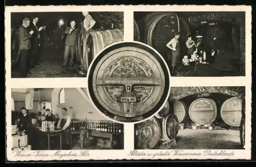 AK Mayschoss, Winzer-Verein Mayschoss