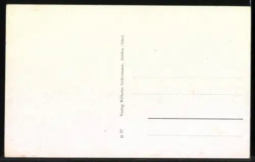 AK Ahlden /Aller, Vogelschau auf den Ort