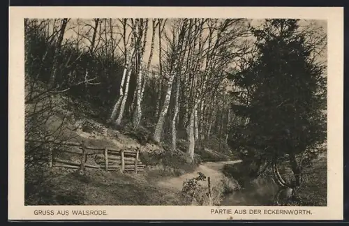 AK Walsrode, Partie aus der Eckernworth
