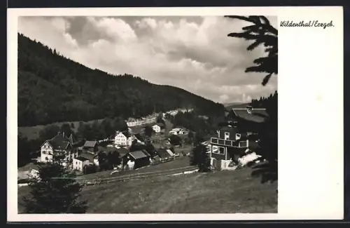 AK Wildenthal /Erzgeb., Gesamtansicht von einem Hang aus