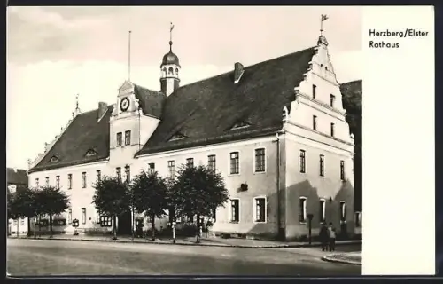 AK Herzberg / Elster, Rathaus, Strassenansicht