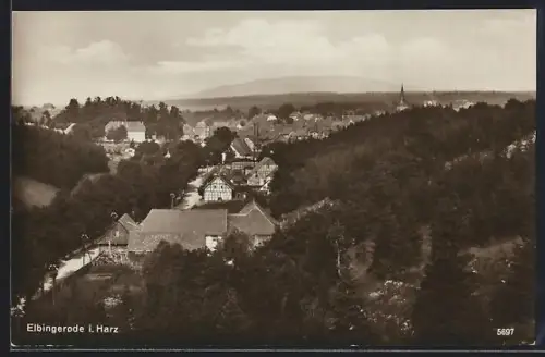 AK Elbingerode, Ortspanorama