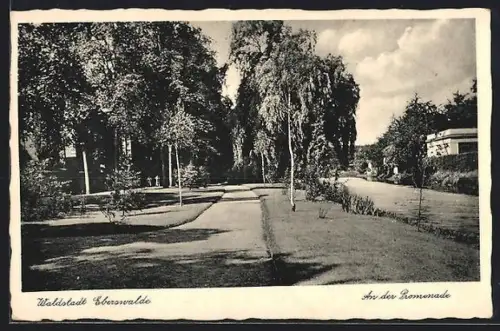 AK Eberswalde, An der Promenade, Flusspartie