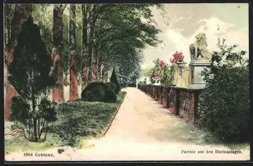 AK Coblenz, Parthie aus den Rheinanlagen