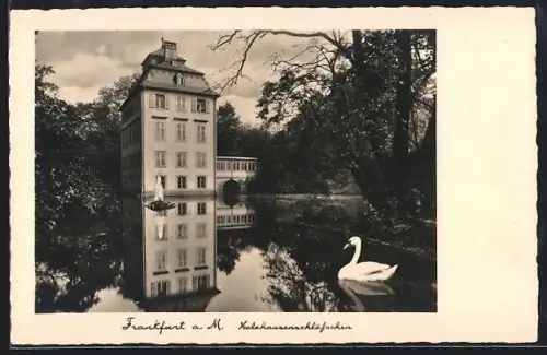 AK Frankfurt-Nordend, Holzhausenschlösschen vom Wasser aus