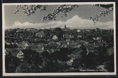 AK Frankfurt-Bergen-Enkheim, Ortspanorama mit Baumblüte