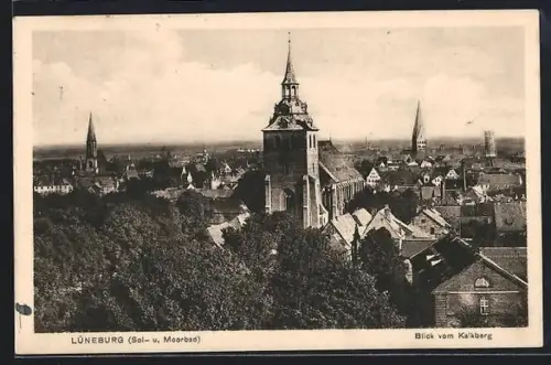 AK Lüneburg, Totalansicht mit Kirchen vom Kalksberg aus