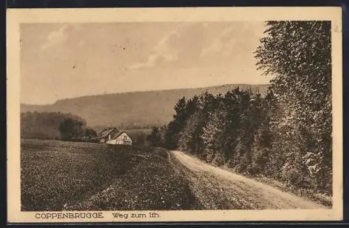 AK Coppenbrügge, Partie am Weg zum Ith