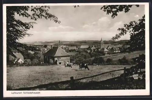 AK Schledehausen / Bissendorf, Blick auf den Ort mit Kühen